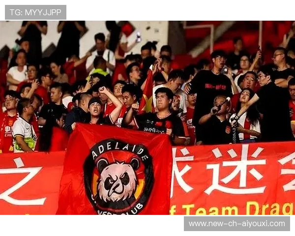 成都蓉城亚冠期间的社区联动活动获高度评价